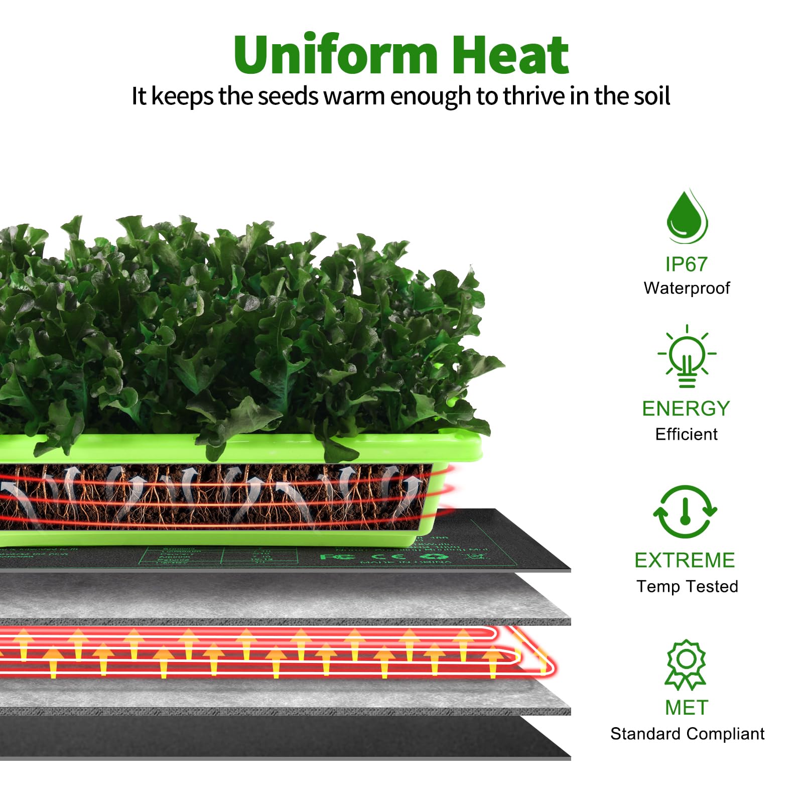 HYDGOOHO uniform temperature range supports healthy seed germination
