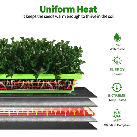 HYDGOOHO uniform temperature range supports healthy seed germination