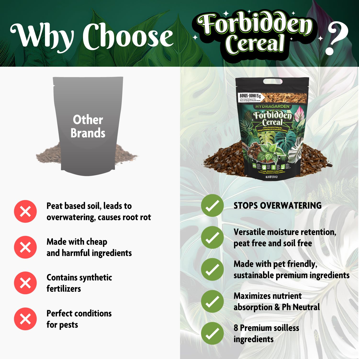 HydraGarden mix supports Hoyas with airy soil and healthy roots