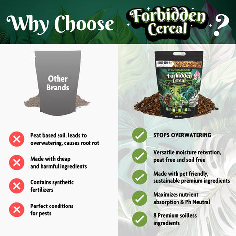 HydraGarden mix supports Hoyas with airy soil and healthy roots