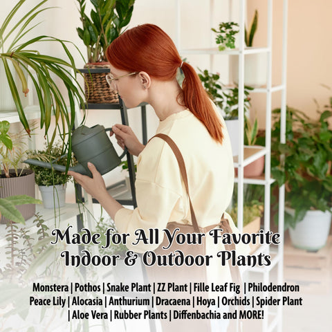 HydraGarden mix in use with a Monstera showing drainage and root room
