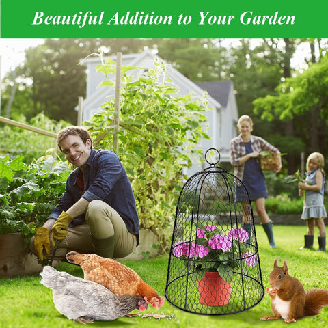 Hydream black garden cloches blending with soil and mulch