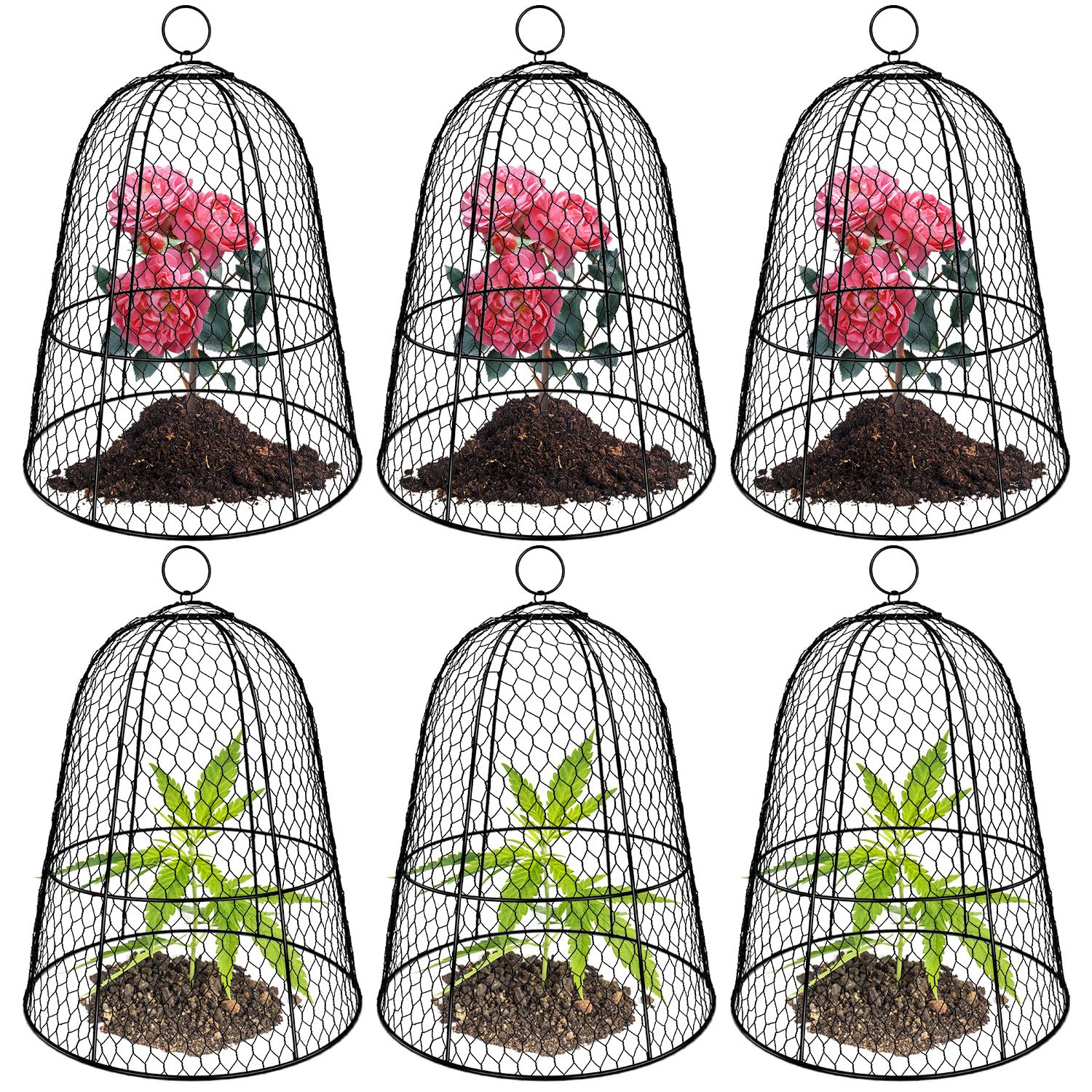 Hydream 19 by 14 inch cloche over seedlings protecting from rabbits