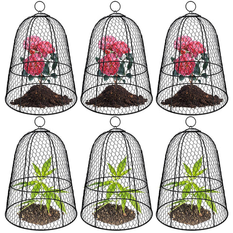 Hydream 19 by 14 inch cloche over seedlings protecting from rabbits