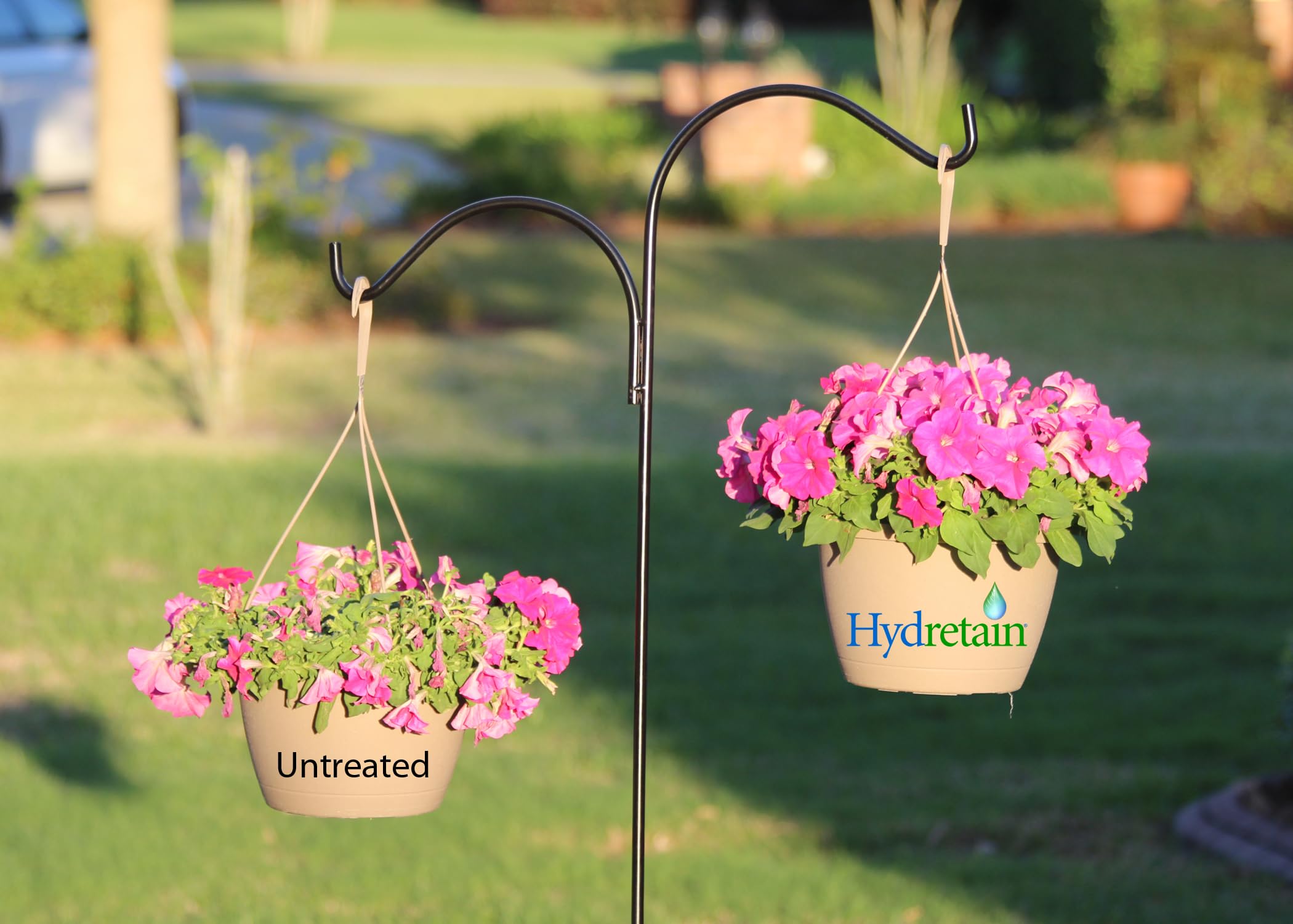 Hydretain seed germination support aids faster establishment.
