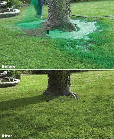 Hydro Mousse dry spots illustration showing practical lawn repair