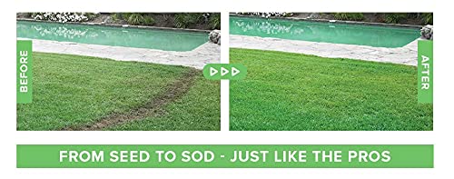 Hydro Mousse lawn after treatment shows a lush, repaired patch ready for mowing.