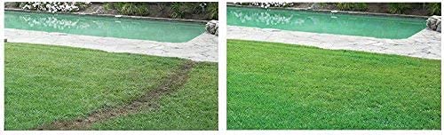 Hydro Mousse Liquid Lawn System covers up to 100 sq ft for spot repairs.