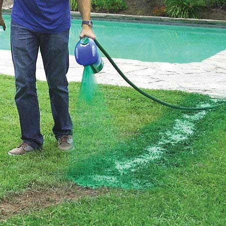 Hydro Mousse patch-repair-application shows quick improvement on bare spots.