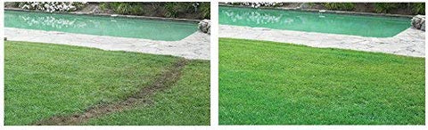 Hydro Mousse spray n stay technology shown for seed adhesion
