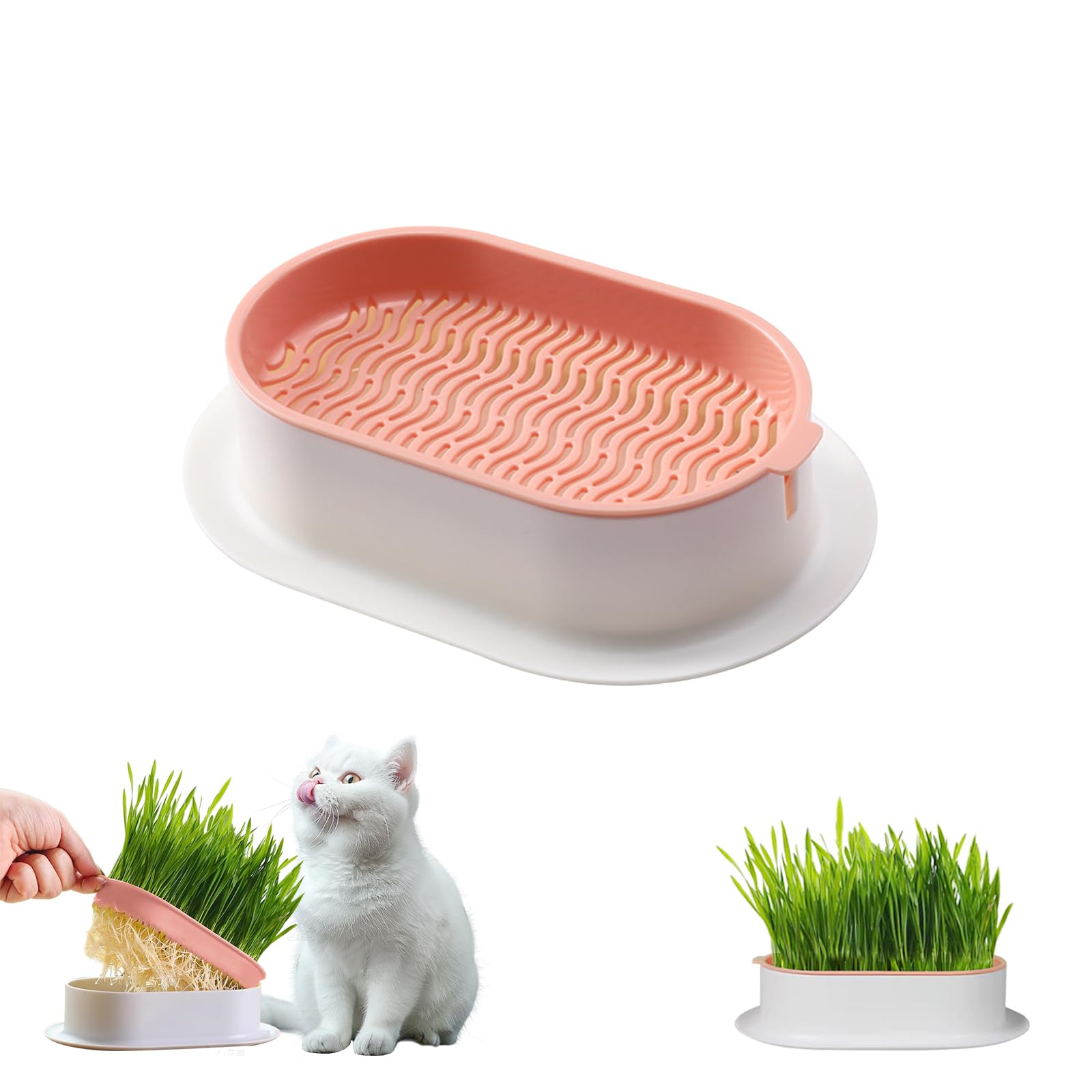 Hydroponic Cat Grass Kit germination tray in a clean indoor setup for easy growing