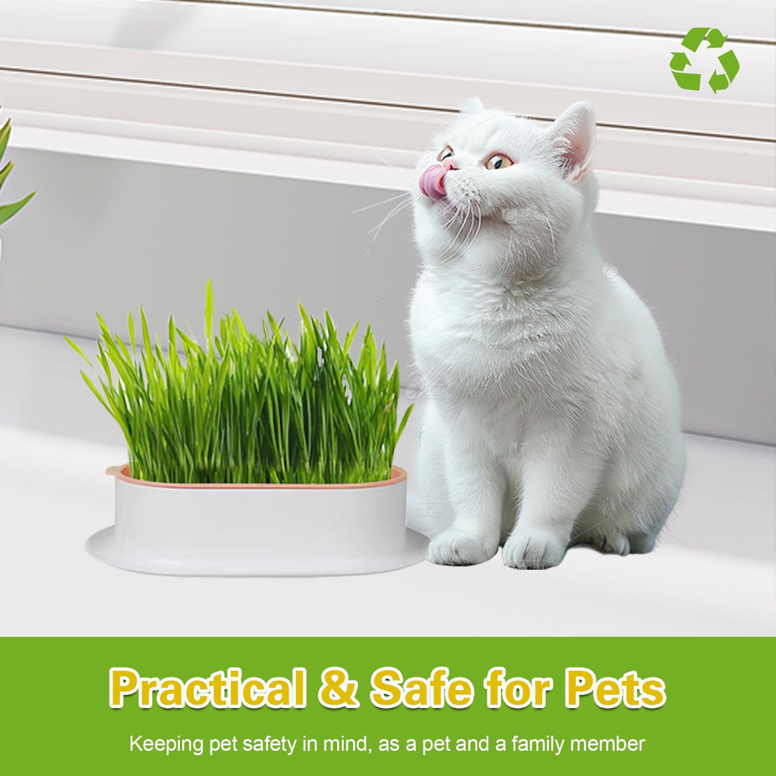 Hydroponic Cat Grass Kit versatile use for cat grass, catnip, and microgreens