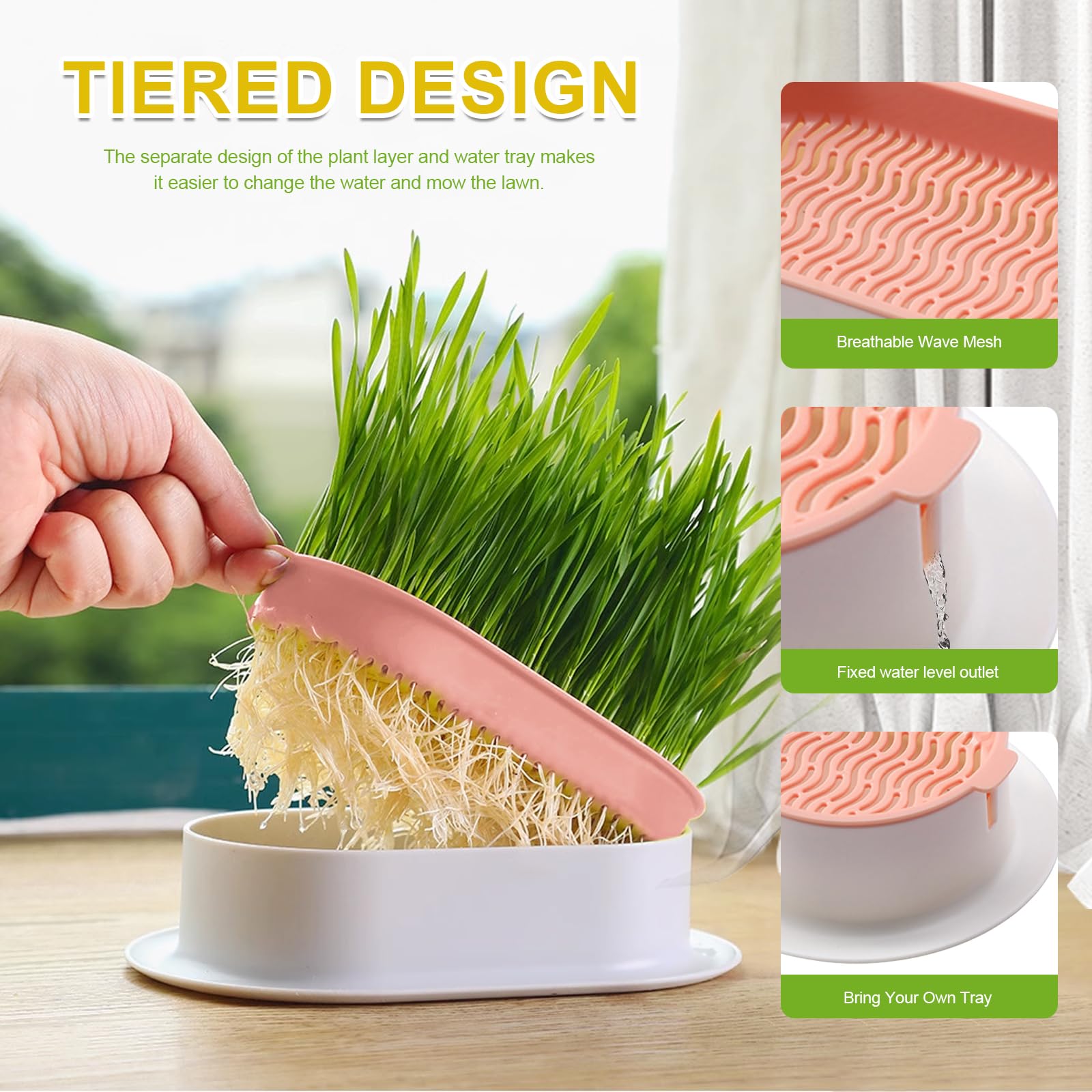 Hydroponic Cat Grass Kit water tray refilling demonstrating low-maintenance indoor gardening