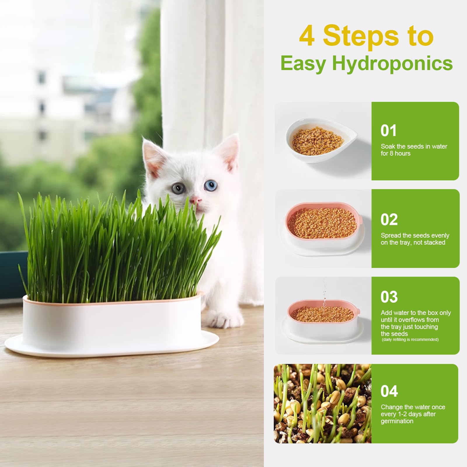 Hydroponic Cat Grass Kit on a sunny windowsill showcasing space-saving design