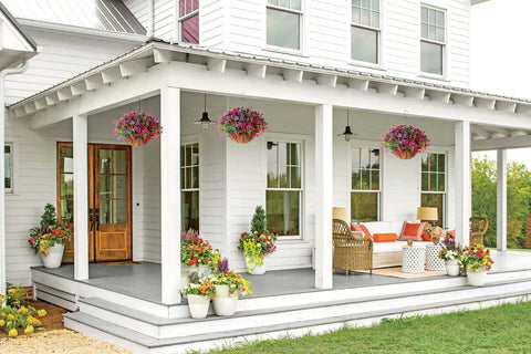 HyeFlora colorful daisy eucalyptus mix brightens any exterior with soft textures