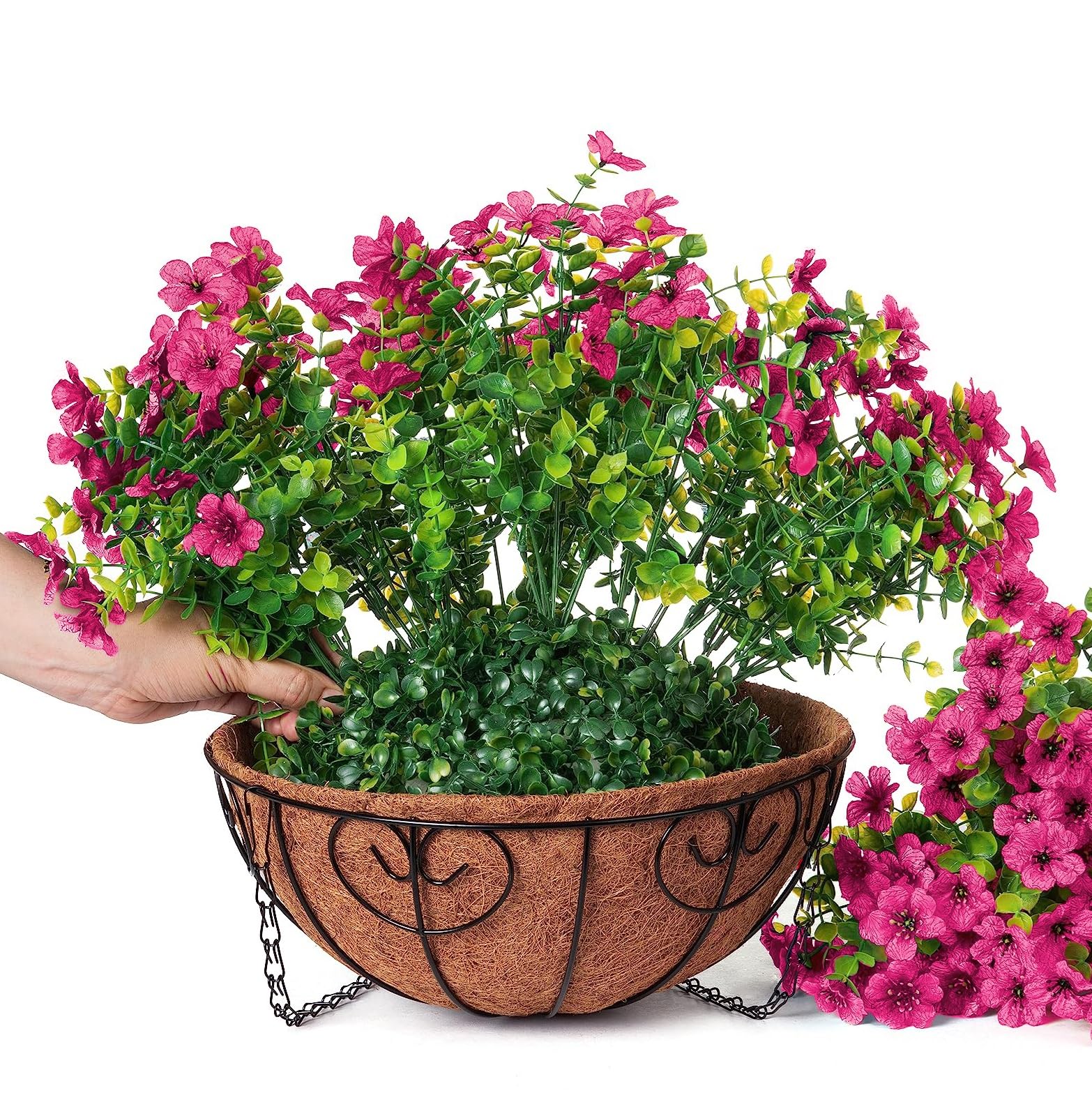 HyeFlora hotpink flowers add year-round color to porch or garden