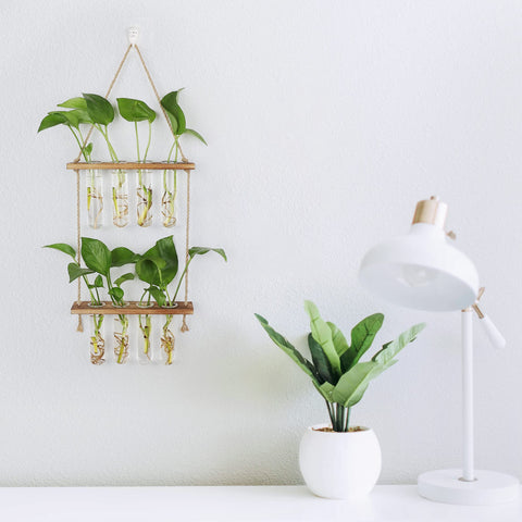 Hyindoor gift idea propagation station suitable for birthdays and Mother's Day