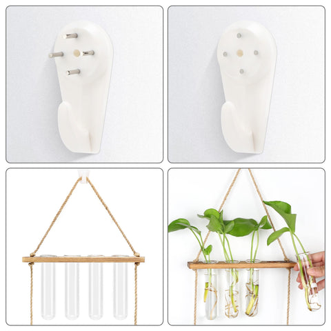 Hyindoor glass tubes close-up for monitoring plant growth and roots