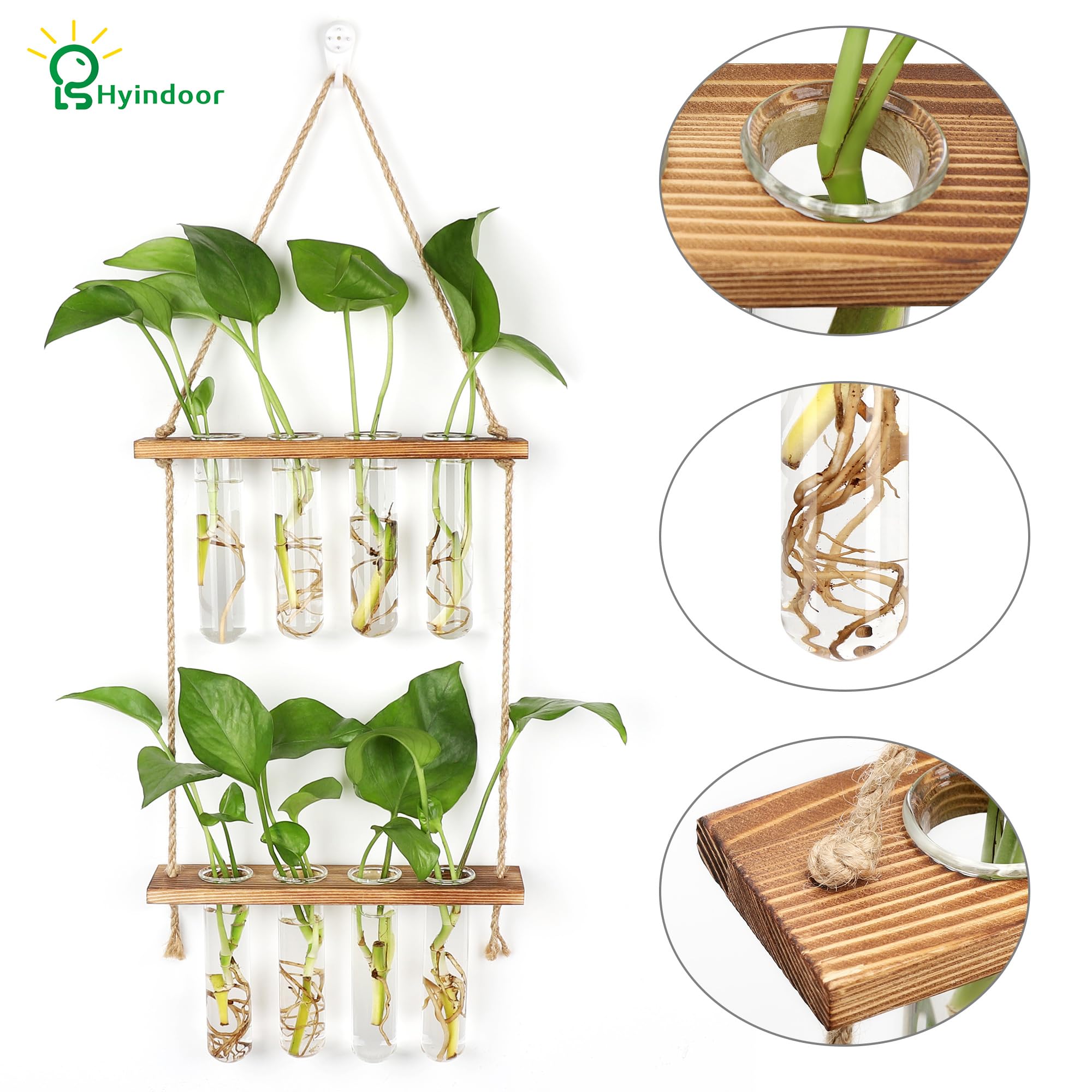Hyindoor propagation station in a living room setting for decor and propagation