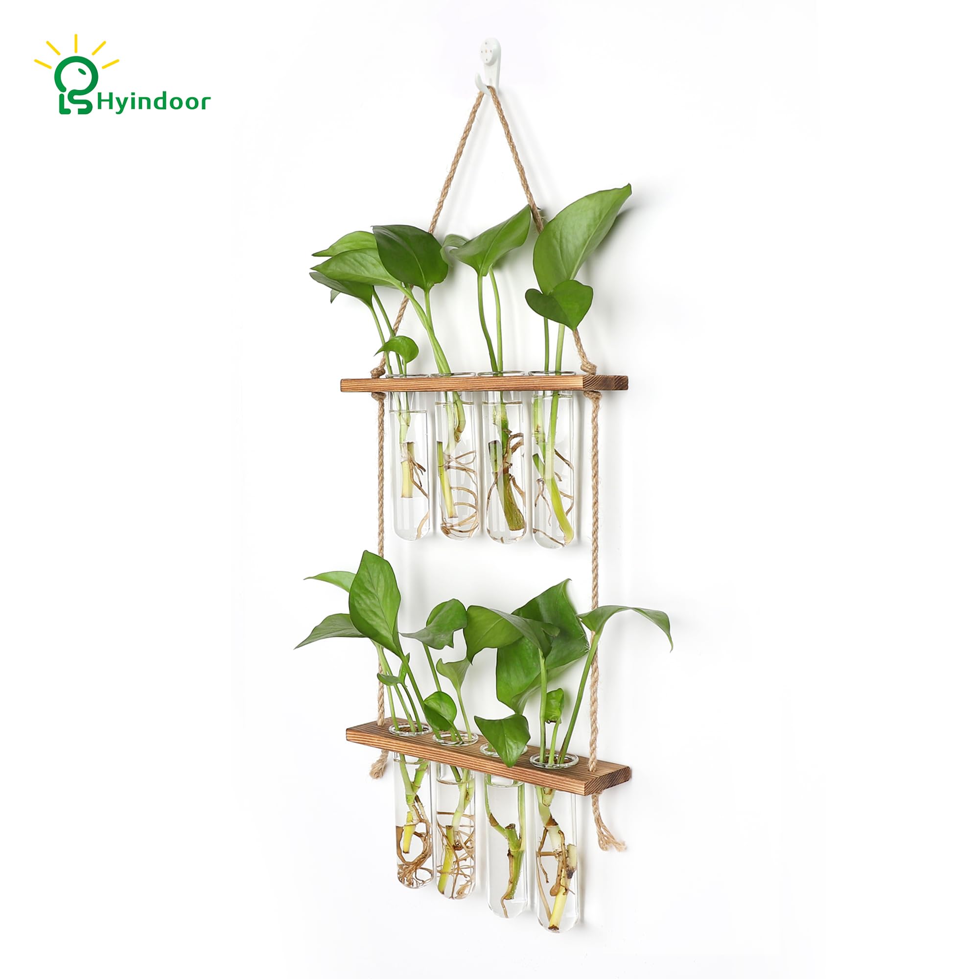 Hyindoor test-tube propagation station showing eight glass tubes for root viewing