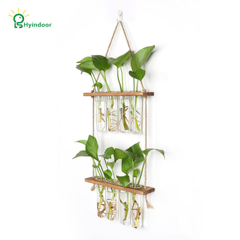 Hyindoor test-tube propagation station showing eight glass tubes for root viewing
