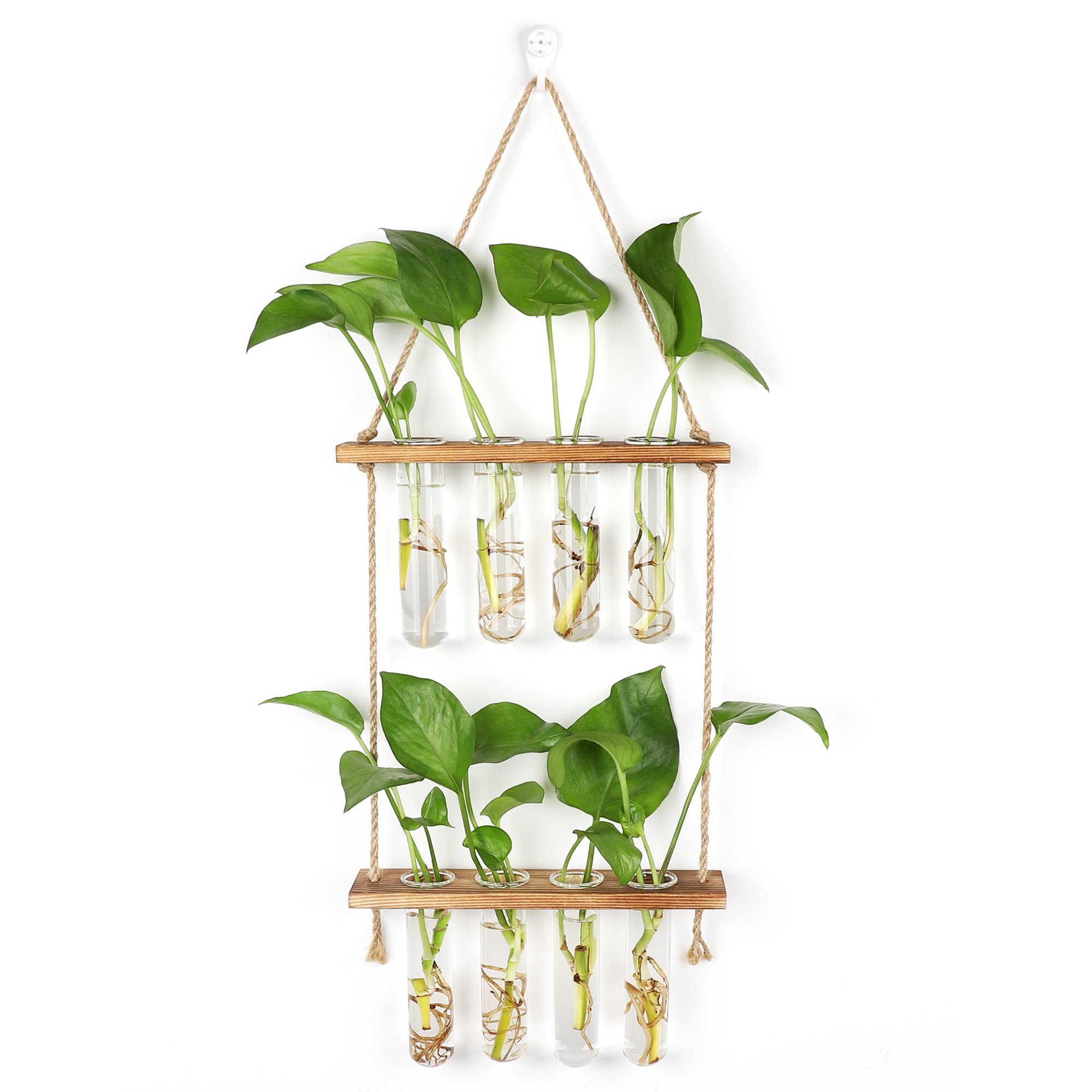 Hyindoor wall hanging planter terrarium with two-tier stand for stylish propagation