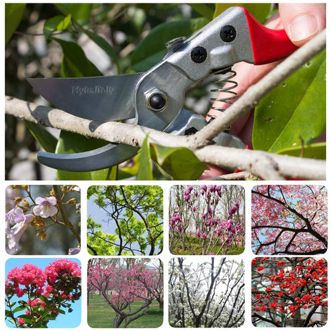 HyleJhJy garden shears straight tip for close-in pruning.