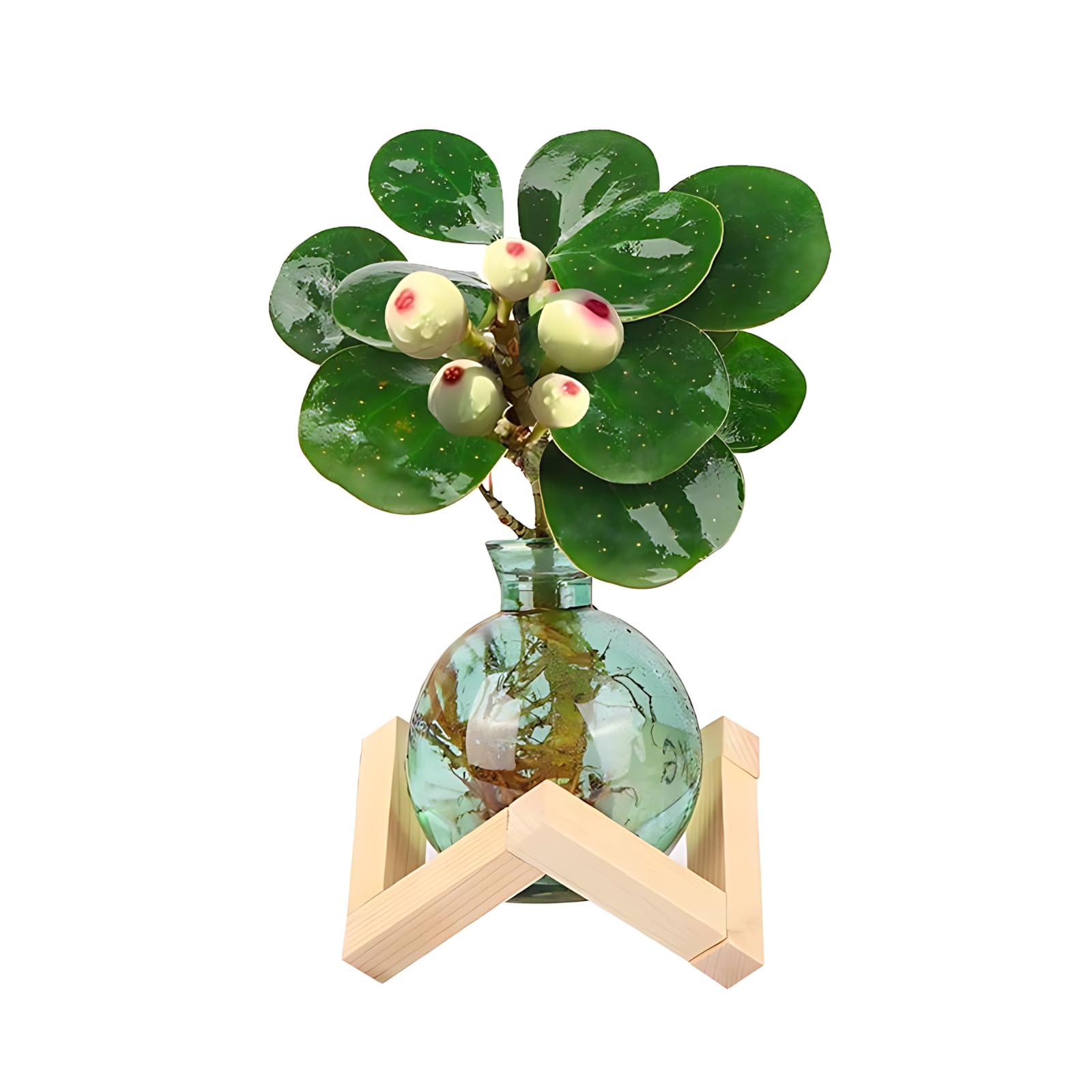 HymoConn propagation station on a desk showcases compact, stylish plant display.