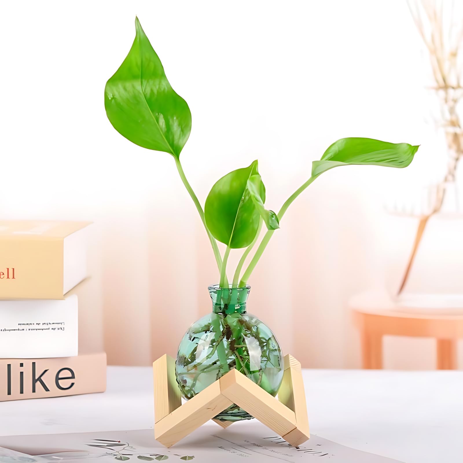 HymoConn propagation station glass vase with wooden stand for desk hydroponics and plant display.