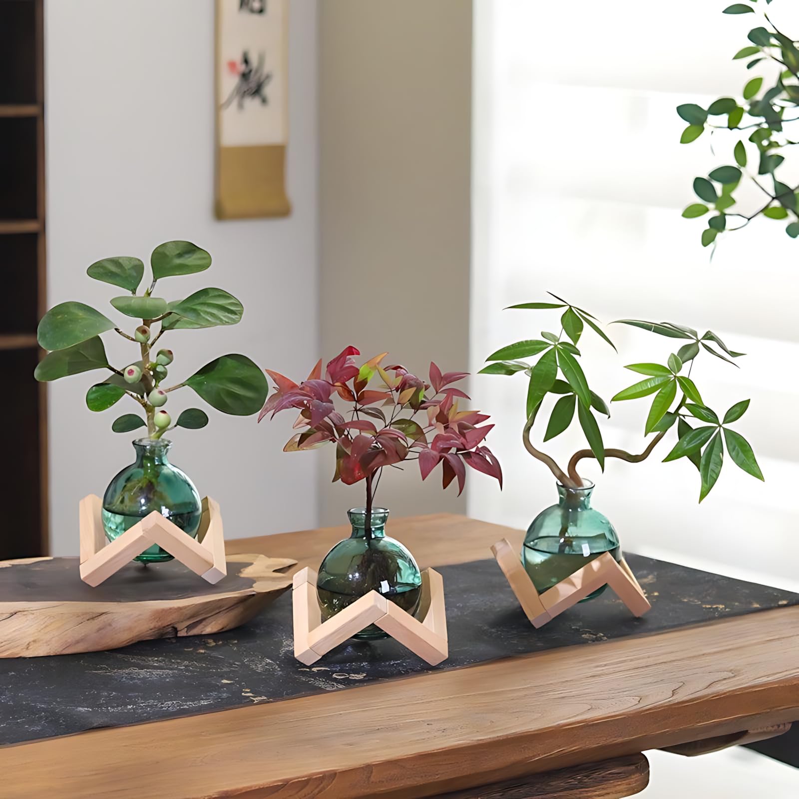 HymoConn propagation station terrarium decor brightens a window sill with natural charm.