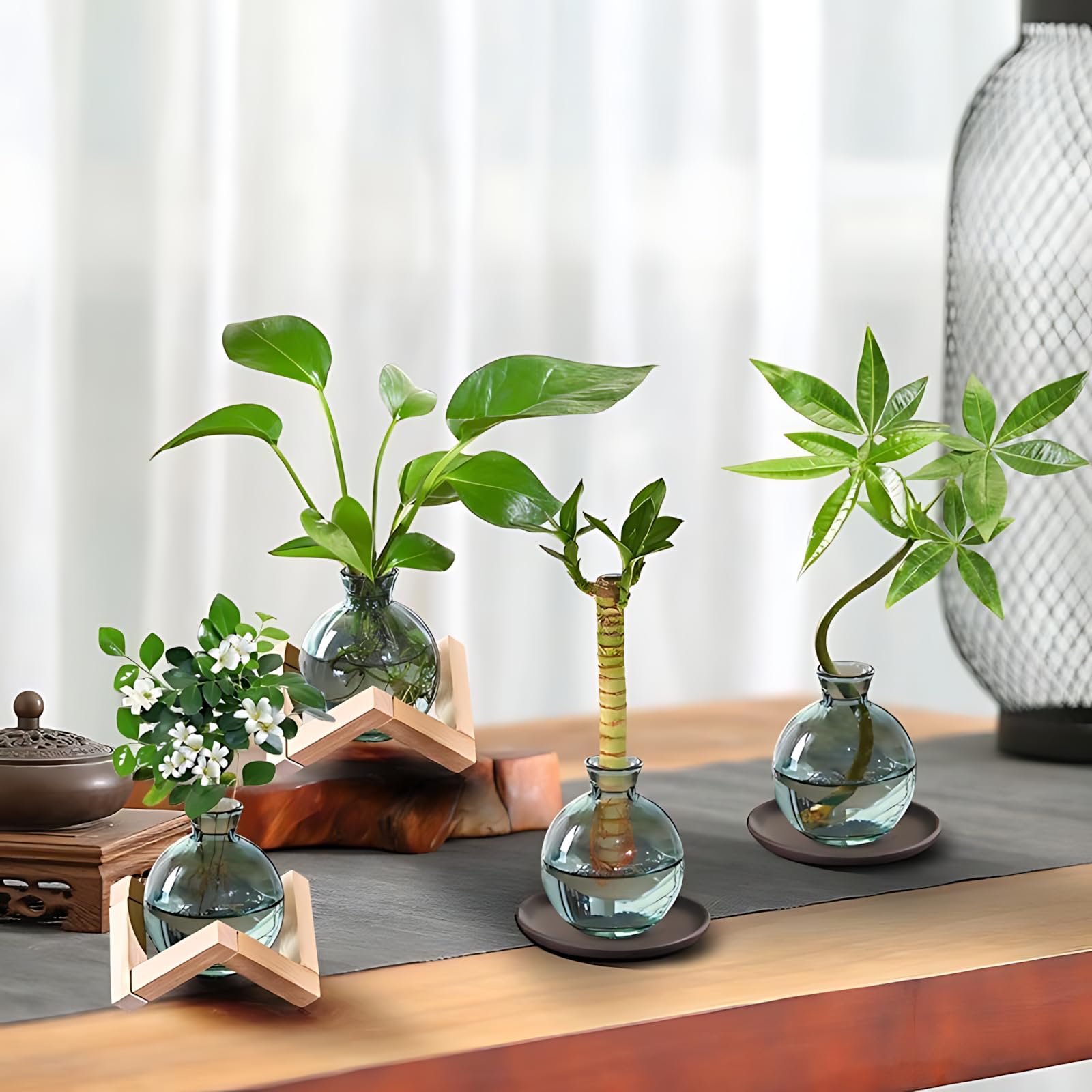 HymoConn propagation station wooden stand pairs with glass vase for durable display.