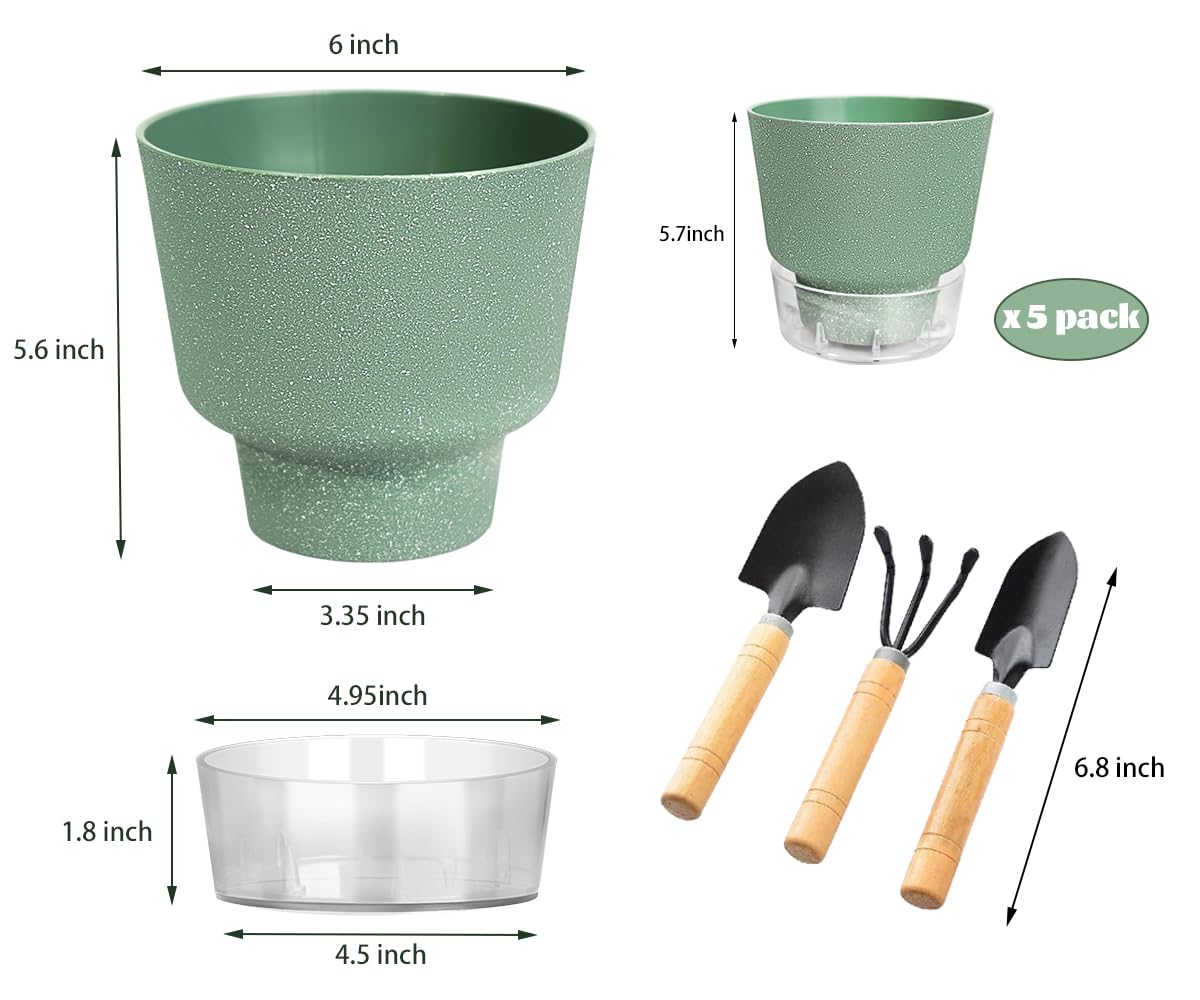 HYNZ 6-inch self-watering pot in mixed colors to brighten indoor decor.