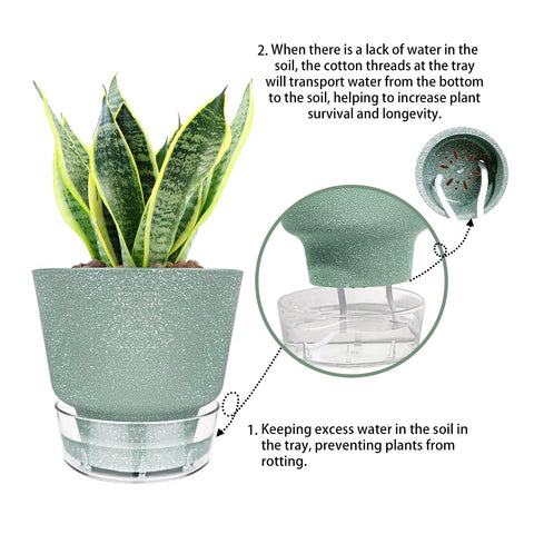 HYNZ clear water level reservoir helps quick watering checks.