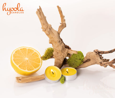 Hyoola citronella tealight candles for gnats and mosquitoes, creating a calmer outdoor zone.