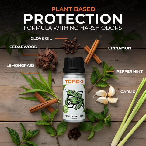Hyphen X Solutions cane toad oil applied around patios offers up to 30 days of protection.