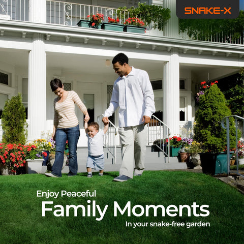 Hyphen X Snake-X indoor-outdoor-use demonstrates versatile protection for homes.