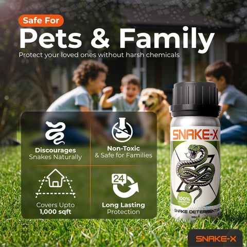 Hyphen X Snake-X pet-safe-usage emphasizes family-friendly application.