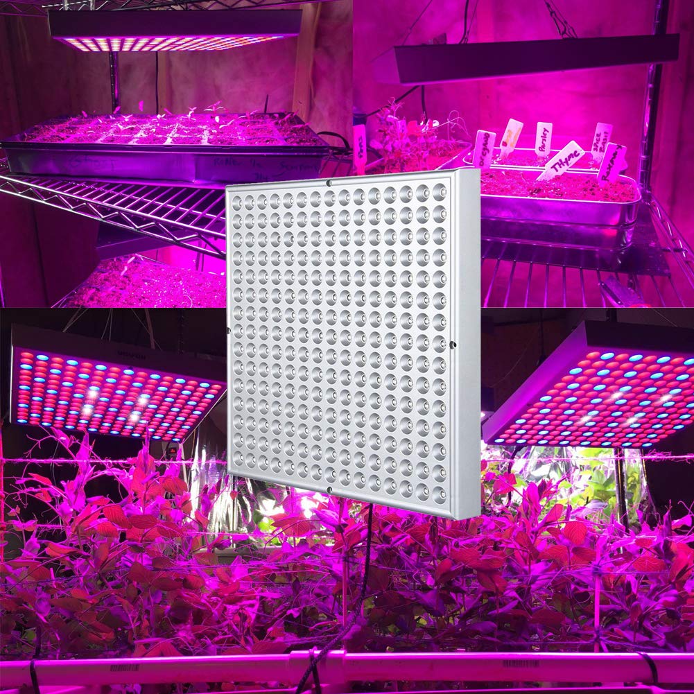 Hytekgro grow light coverage image indicates a 3 ft by 3 ft area for plants.