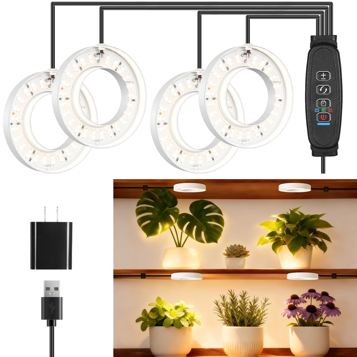 Hywyimlait 4-head LED growth light ring powering indoor plants.