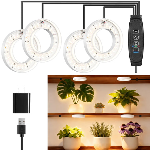 Hywyimlait 4-head LED growth light ring powering indoor plants.