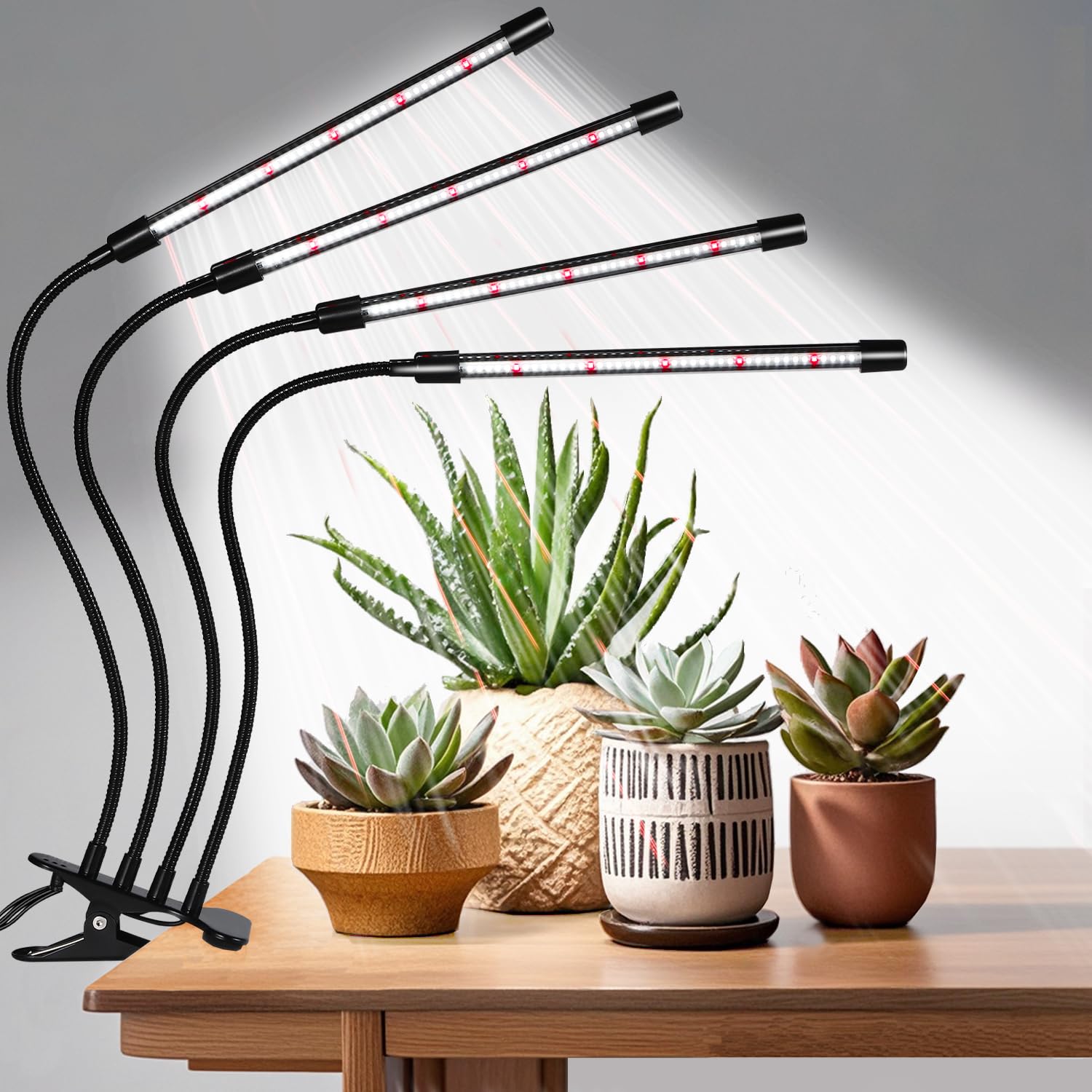 Hywyimlait Black Clip Grow Lights with four-head arrangement for even light coverage