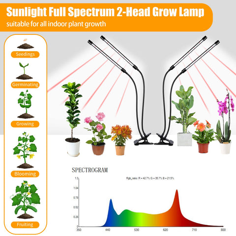 Hywyimlait full-spectrum LEDs provide balanced light for growth