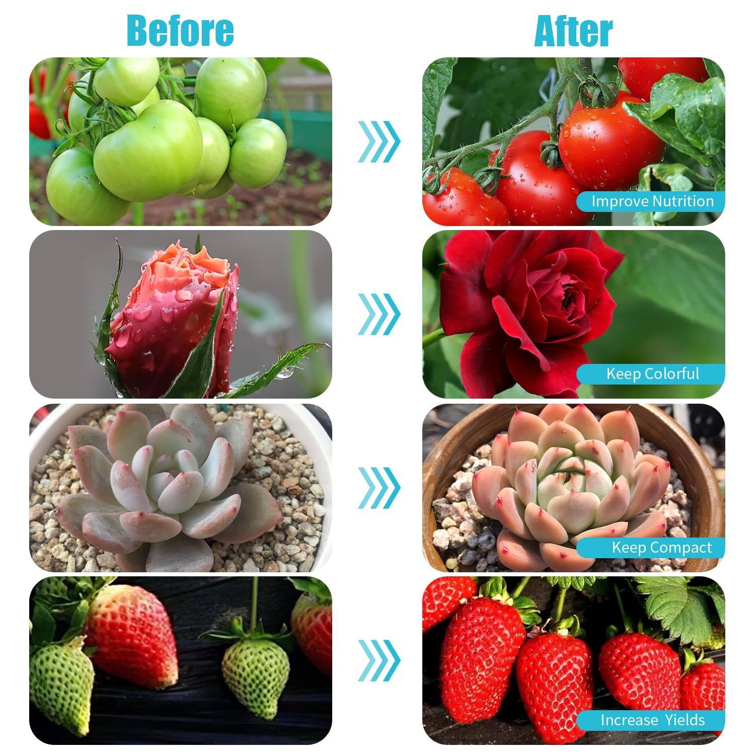 Hywyimlait three spectral modes support germination, foliage, and fruiting