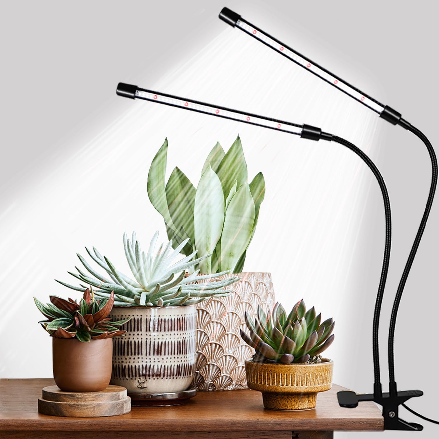 Hywyimlait grow lights with clip base for stable indoor setup