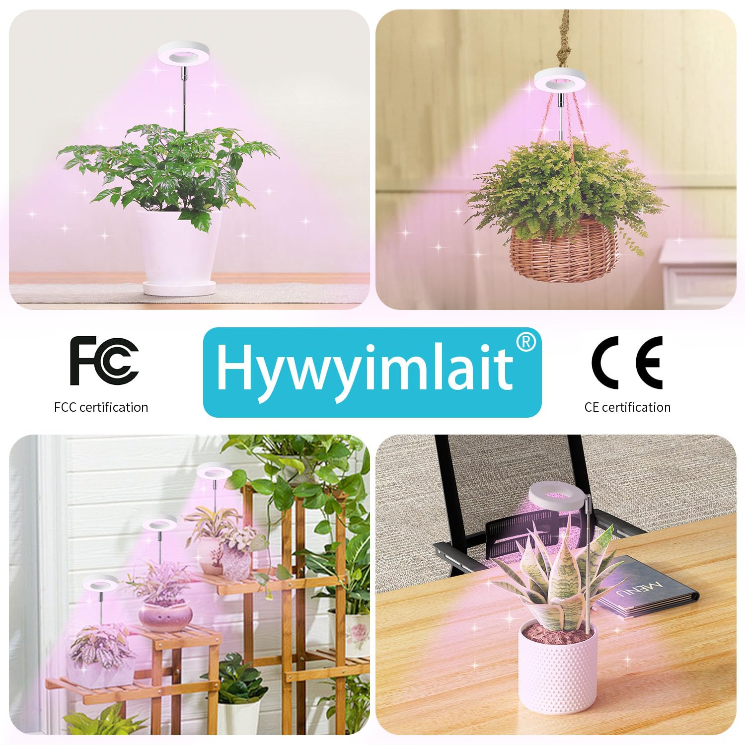 Hywyimlait Halo Ring Grow Light mounted on a plant shelf for decorative lighting.