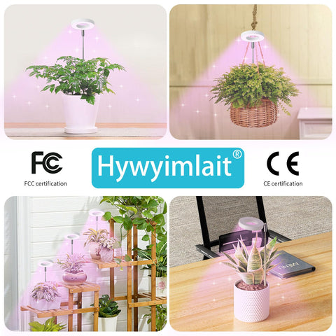 Hywyimlait Halo Ring Grow Light mounted on a plant shelf for decorative lighting.