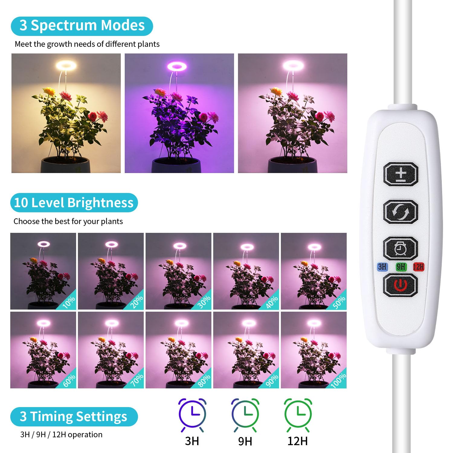 Hywyimlait Halo Ring Grow Light height-adjusted for a tall seedling.
