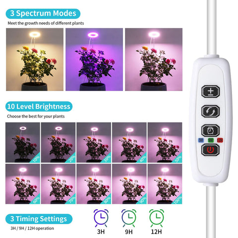 Hywyimlait Halo Ring Grow Light height-adjusted for a tall seedling.
