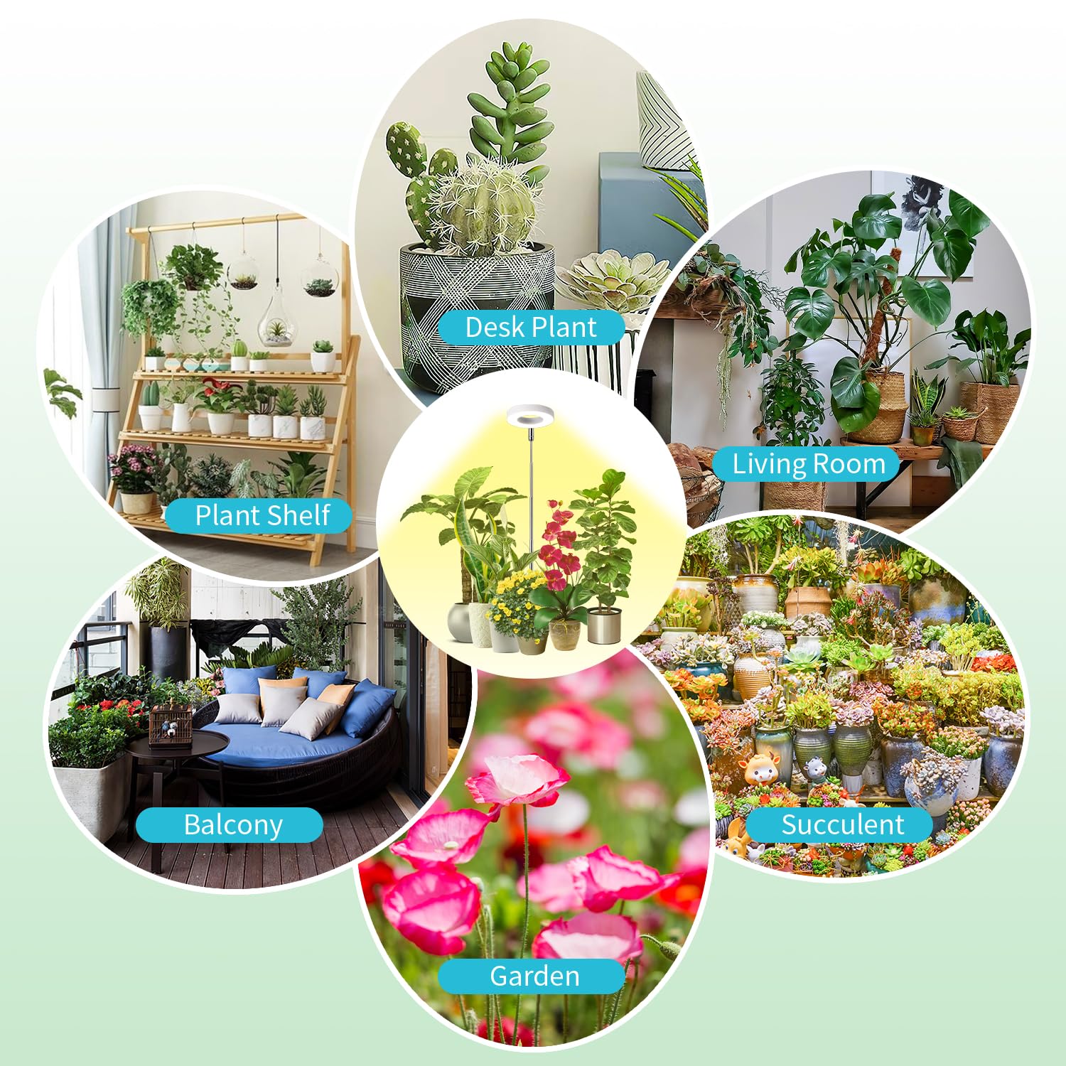Hywyimlait Halo Ring Grow Light ideal for flowers, herbs, and leafy greens.