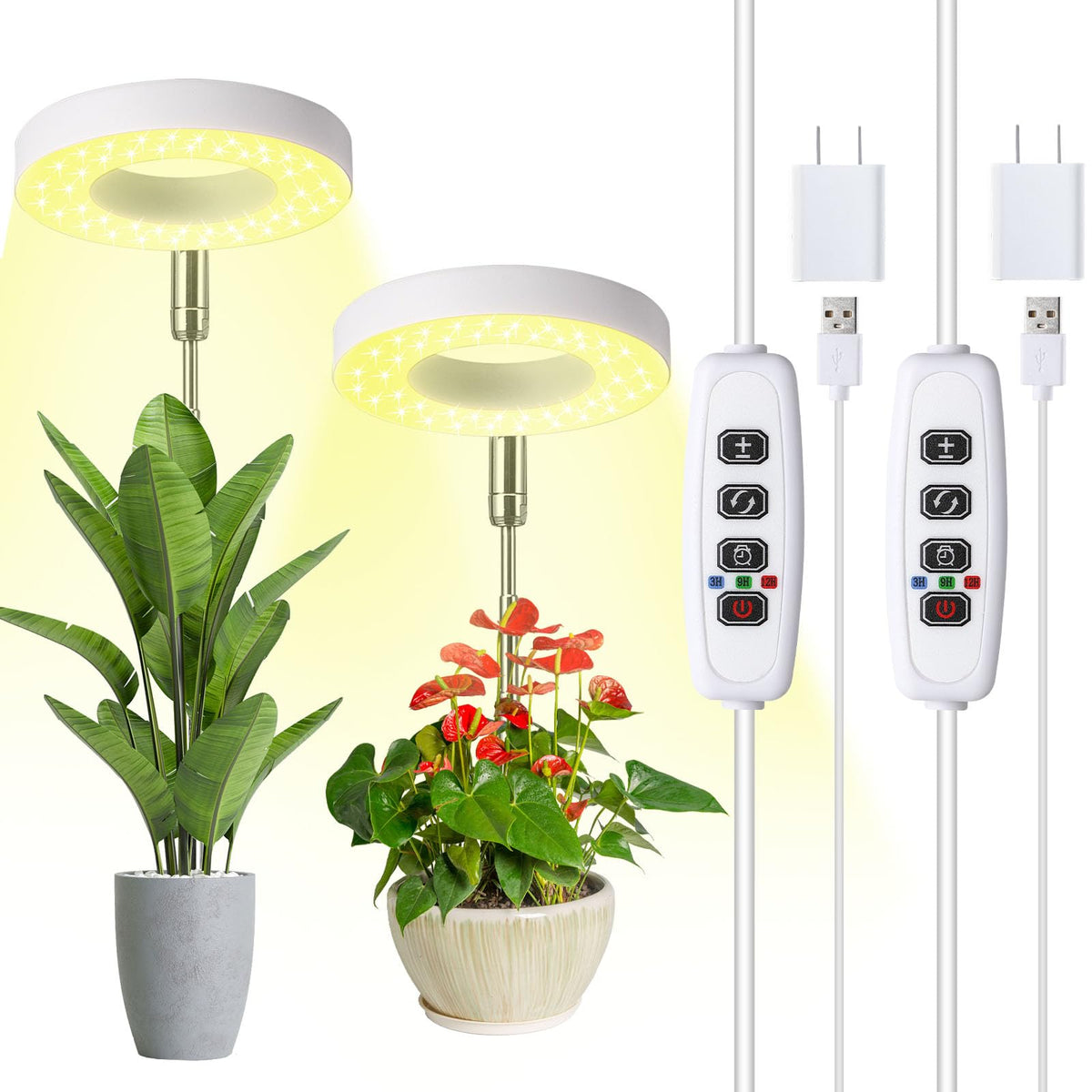 Hywyimlait Halo Ring Grow Light setup for compact spaces, two-pack design.